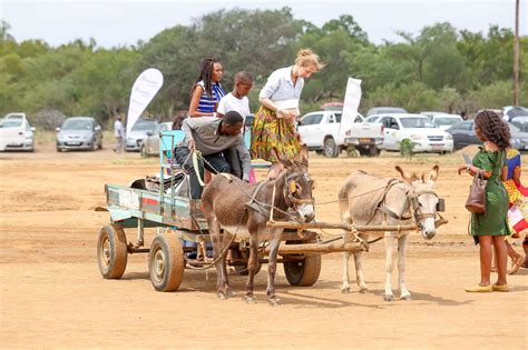 Botswana Travel and Tourism Expo | Botswana Tourism Organisation