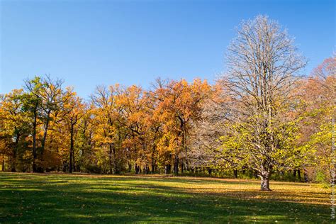 Golden autumn in the most beautiful park of Ukraine · Ukraine travel blog