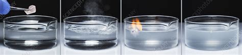 Sodium reacts with water - Stock Image - C050/4740 - Science Photo Library