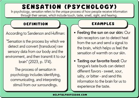 18 Sensation Examples (Psychology) (2024)