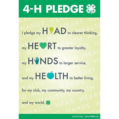 Laminated Pledge Poster | Pledge, Hand health, 4 h