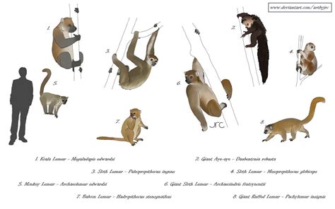 Extinct Island Fauna - Madagascar 1 by artbyjrc on DeviantArt