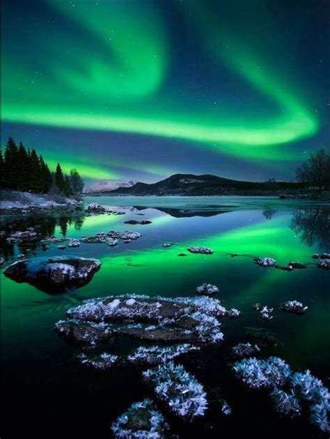 Aurora in Antartica #aurora #southernlights #antarctica #nature | Alaska northern lights ...