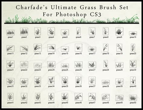 The Ultimate Grass Brush SetPhotoshop Free brushes, Photoshop Fonts | BRUSHEZ