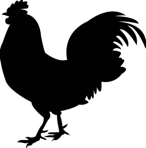 Chicken meat Silkie Rooster - rooster png download - 1718*1734 - Free Transparent Chicken Meat ...