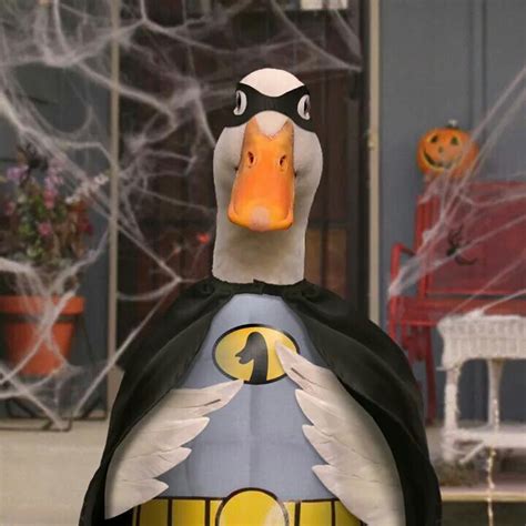 Da Na na Na na Na na Na na Na na, Aflac! Aflac duck Halloween costume 2014 Baby Animals, Funny ...