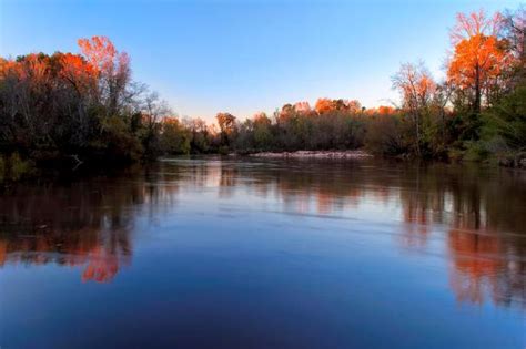 The Flint River - Macon County, GA