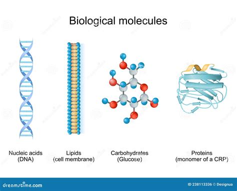 Biomolecule Cartoons, Illustrations & Vector Stock Images - 645 Pictures to download from ...