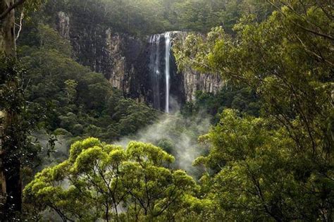 Byron Bay Hinterland Magic | Walk Meditate Explore | Tree Hugger Travel