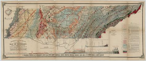 State Map Of Tennessee Showing Counties – States Map Of The Us