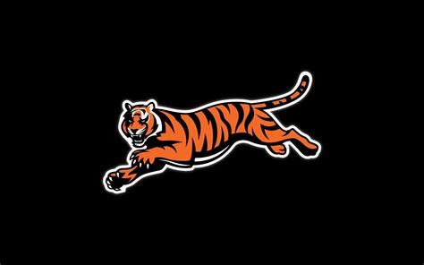 Cincinnati Bengals Wallpapers - Wallpaper Cave