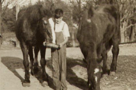 Photo Galleries Archive - Normandy Farms Campground