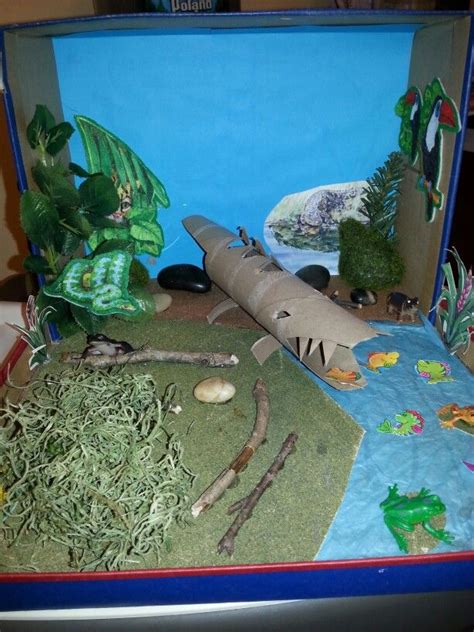 Crocodile diorama Alligators, Crocodiles, Crocodile Habitat, Habitats Projects, Animal Habitats ...