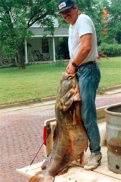 7 Largest Catfish Ever Caught - Largest.org