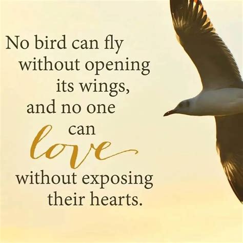 Best Bird Quotes to Inspire your Love for Nature