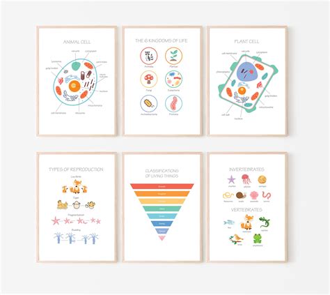 Science Posters For Kids