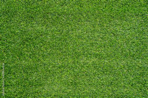 Green grass texture for background. Green lawn pattern and texture ...