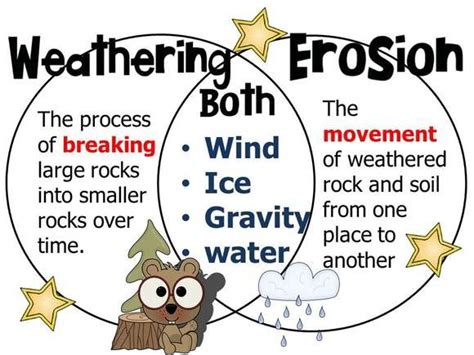 Weathering and Erosion venn diagram | Science | Pinterest | Venn ...