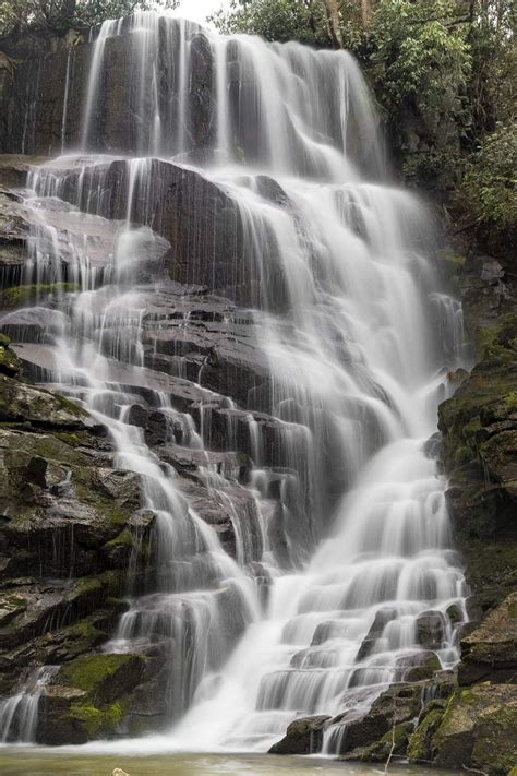 "A hazy, overcast Spring morning is perfect for photographing Eastatoe ...