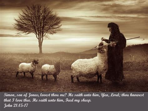 feed my sheep | Feed My sheep!!! | Recipes to Cook | Feed my sheep, Feed my lambs, The good shepherd