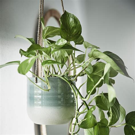 Indoor Plant Pots & Hanging Planters - IKEA