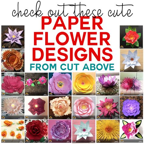 Paper Flower Designs That Will Blow You Away! - Jennifer Maker