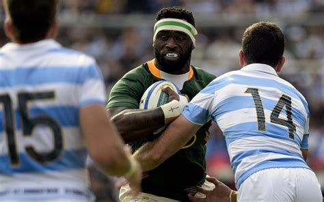 South Africa vs Argentina live: Score and Latest Updates of The Rugby ...