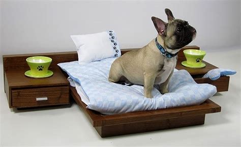 Fancy dog beds designs for the comfort of your beloved pet