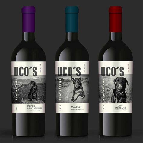 40 Elegant Wine Label Design Examples for Inspiration – Speckyboy