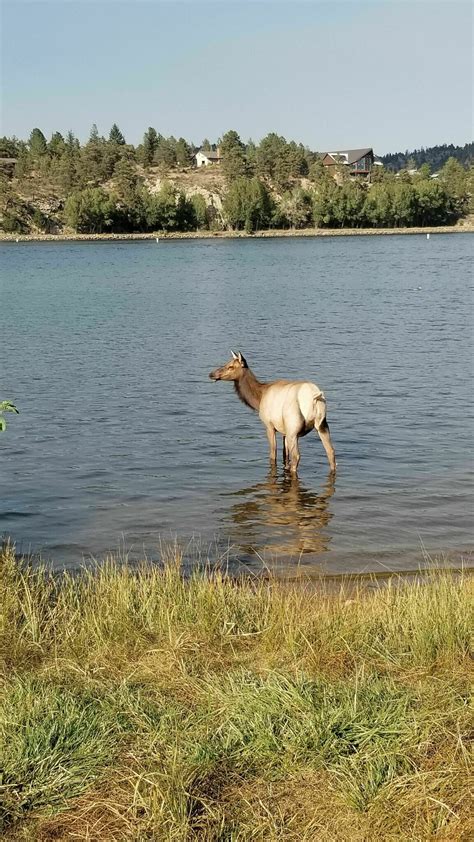 Photos of Dream Lake Trail - Colorado | AllTrails