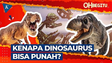 Dinosaurus, Hewan Purba yang Hidup Sebelum Ada Manusia - YouTube