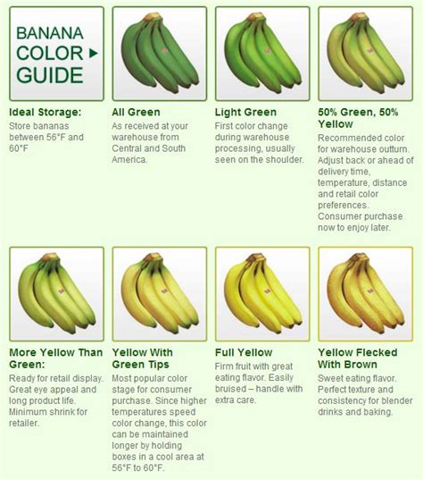 banana stage chart | Four Seasons