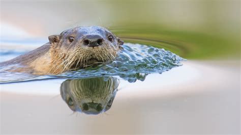 Winner of our Photo Challenge - "Shallow Depth of Field"