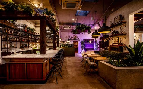 Fern Bar Opens in Sebastopol with Michelin-Approved Cocktails - Eater SF