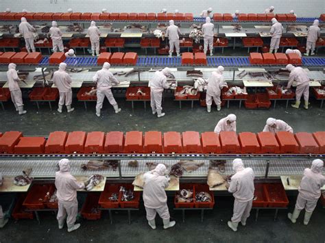 Knowledge Workers Look Like Factory Workers - Business Insider