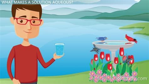 Aqueous Solution: Definition, Reaction & Example - Video & Lesson ...