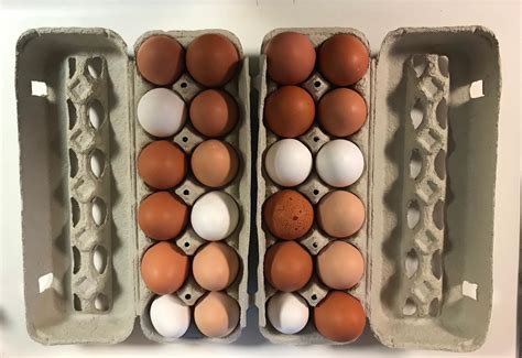 Organic Free range chicken eggs 1 dozen | Etsy