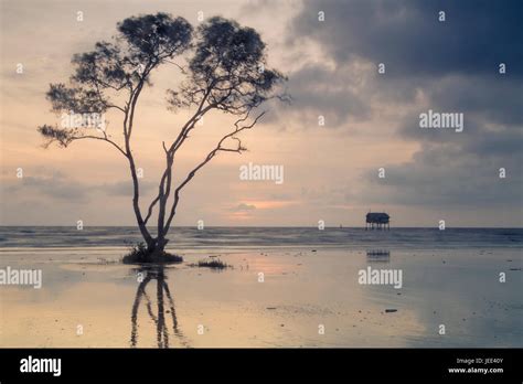 Tan thanh beach hi-res stock photography and images - Alamy