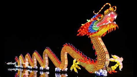 Year Of The Wood Dragon: Personality Traits Of Those Born In This Year