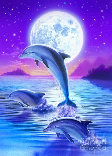 Dolphin Drawing, Dolphin Painting, Dolphin Art, Dolphin Images, Dolphin ...