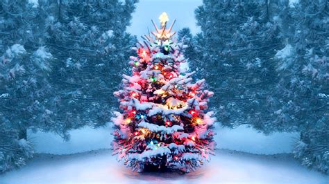 Christmas Tree With Snow And Lights Decoration HD Christmas Tree ...