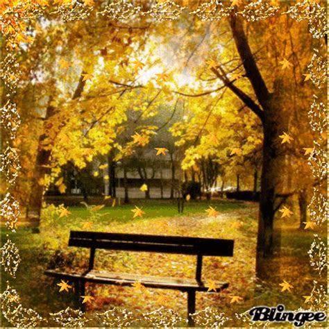 Autumn leaves!!!!!!!!!!!!!!!!!!!!!!!!!!!!!!!!!!!!!!!! Picture #117472521 | Blingee.com