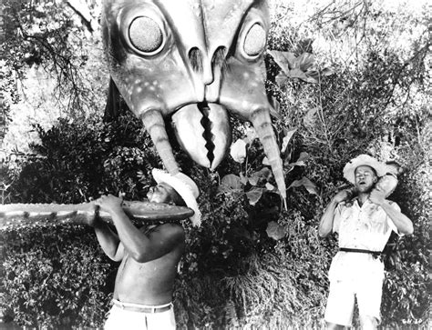 Zisi Emporium for B Movies: Monster From Green Hell, Giant Wasps vs ...