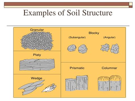 PPT - Soil Types and Textures PowerPoint Presentation, free download ...