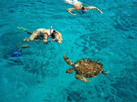 Snorkeling Similan Islands - Phuket Tours to Similan Islands