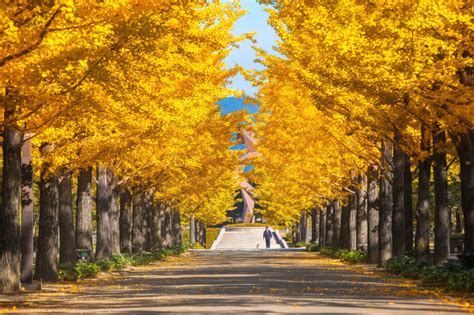 10 Gorgeous Autumn Foliage Spots In And Near Tokyo - Savvy Tokyo