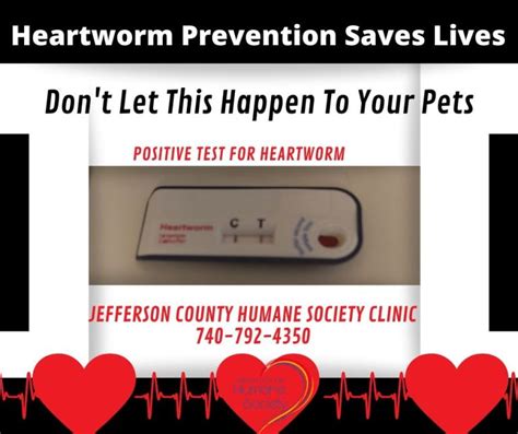 Low-Cost Clinic – Jefferson County Humane Society