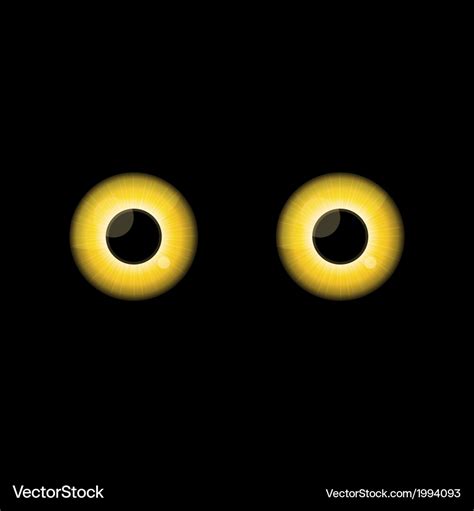 Yellow Cat eyes in dark night Royalty Free Vector Image