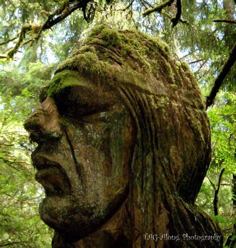 Tree Sculpture, Trees of Mystery, California, | Klamath california ...