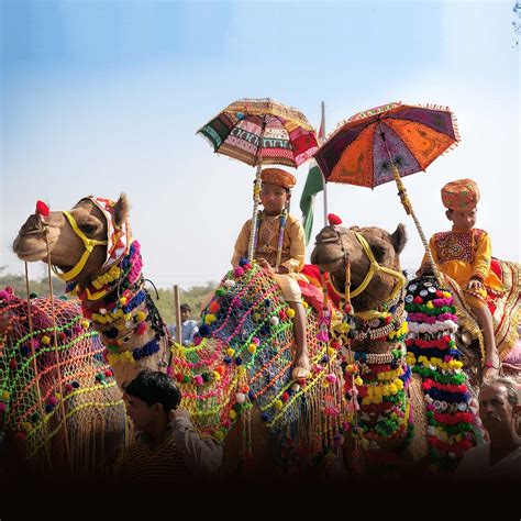 Pushkar Fair 2023 | Noble House Tours Pvt. Ltd.